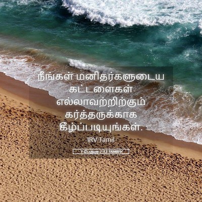 Picture 05 - 1 பேதுரு 2:13 TAMIRV - நீங்கள் - Bible Verse Picture