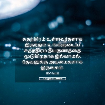 Picture 05 - 1 பேதுரு 2:16 TAMIRV - சுதந்திரம் - Bible Verse Picture