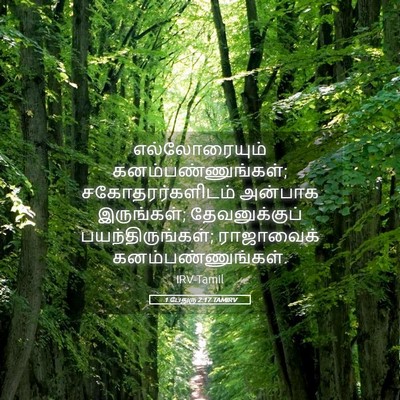 Picture 05 - 1 பேதுரு 2:17 TAMIRV - எல்லோரையும் - Bible Verse Picture