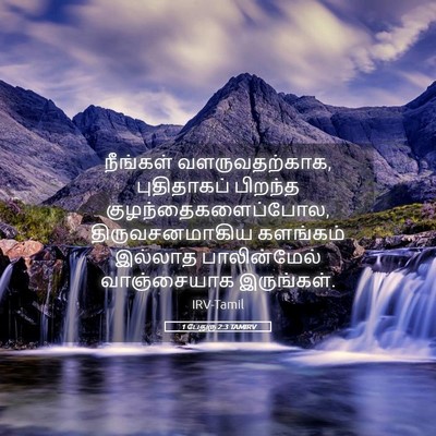 Picture 05 - 1 பேதுரு 2:3 TAMIRV - நீங்கள் - Bible Verse Picture