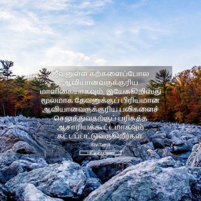 Picture 05 - 1 பேதுரு 2:5 TAMIRV - ஜீவனுள்ள - Bible Verse Picture