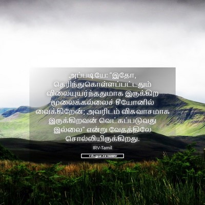 Picture 05 - 1 பேதுரு 2:6 TAMIRV - அப்படியே: “இதோ, - Bible Verse Picture