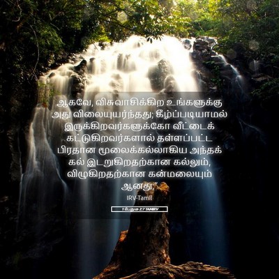 Picture 05 - 1 பேதுரு 2:7 TAMIRV - ஆகவே, - Bible Verse Picture