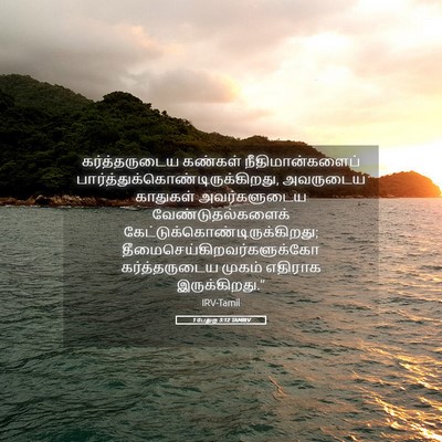Picture 05 - 1 பேதுரு 3:12 TAMIRV - கர்த்தருடைய - Bible Verse Picture