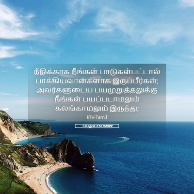 Picture 05 - 1 பேதுரு 3:14 TAMIRV - நீதிக்காக நீங்கள் - Bible Verse Picture