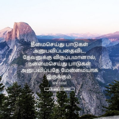 Picture 05 - 1 பேதுரு 3:17 TAMIRV - தீமைசெய்து - Bible Verse Picture