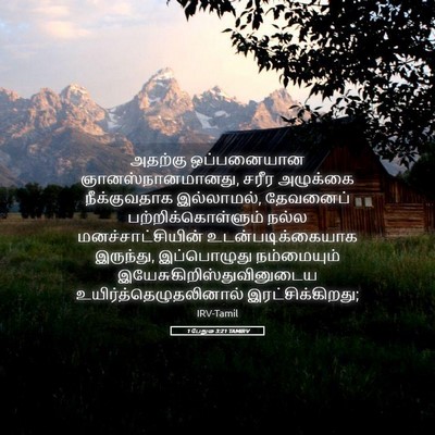 Picture 05 - 1 பேதுரு 3:21 TAMIRV - அதற்கு ஒப்பனையான - Bible Verse Picture