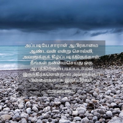 Picture 05 - 1 பேதுரு 3:6 TAMIRV - அப்படியே சாராள் - Bible Verse Picture