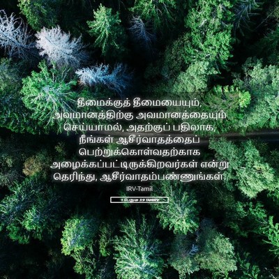 Picture 05 - 1 பேதுரு 3:9 TAMIRV - தீமைக்குத் - Bible Verse Picture