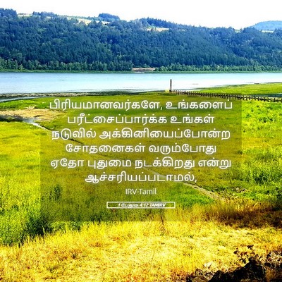 Picture 05 - 1 பேதுரு 4:12 TAMIRV - பிரியமானவர்களே, - Bible Verse Picture