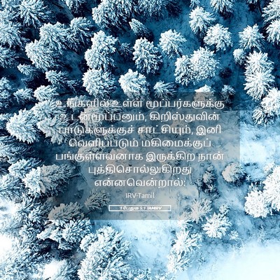 Picture 05 - 1 பேதுரு 5:1 TAMIRV - உங்களில் உள்ள - Bible Verse Picture