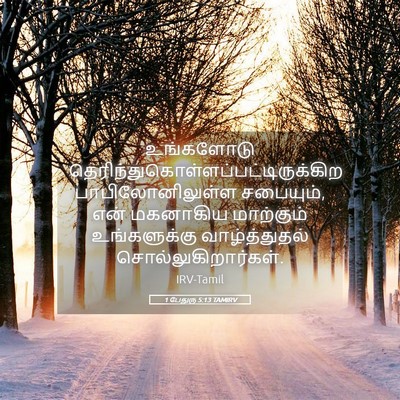 Picture 05 - 1 பேதுரு 5:13 TAMIRV - உங்களோடு - Bible Verse Picture