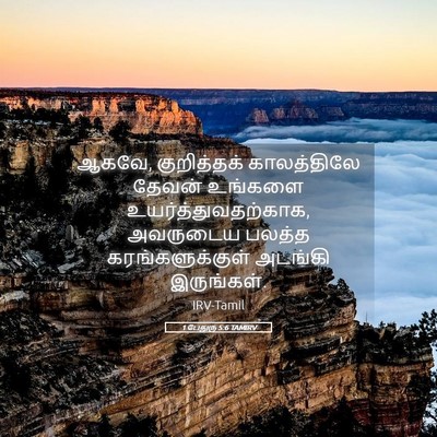 Picture 05 - 1 பேதுரு 5:6 TAMIRV - ஆகவே, குறித்தக் - Bible Verse Picture
