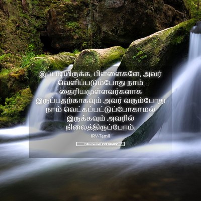 Picture 05 - 1 யோவான் 2:28 TAMIRV - இப்படியிருக்க, - Bible Verse Picture