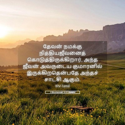 Picture 05 - 1 யோவான் 5:11 TAMIRV - தேவன் நமக்கு - Bible Verse Picture