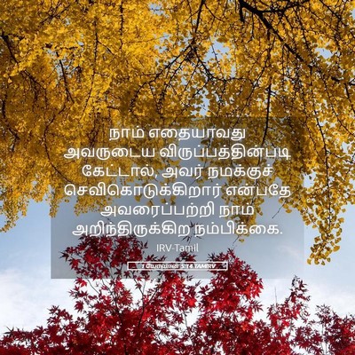 Picture 05 - 1 யோவான் 5:14 TAMIRV - நாம் எதையாவது - Bible Verse Picture