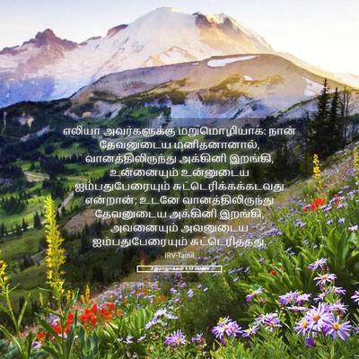 Picture 05 - 2 இராஜாக்கள் 1:12 TAMIRV - எலியா அவர்களுக்கு - Bible Verse Picture
