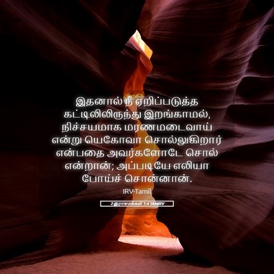 Picture 05 - 2 இராஜாக்கள் 1:4 TAMIRV - இதனால் நீ - Bible Verse Picture