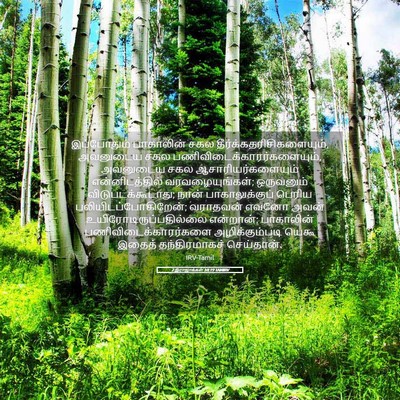 Picture 05 - 2 இராஜாக்கள் 10:19 TAMIRV - இப்போதும் - Bible Verse Picture