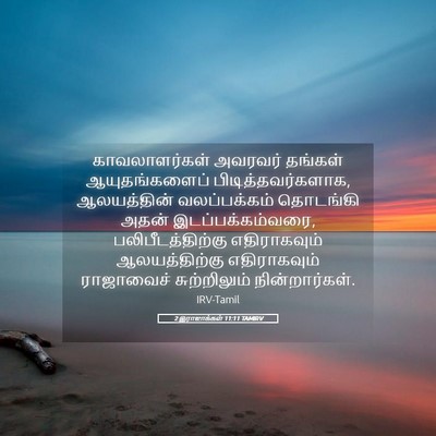 Picture 05 - 2 இராஜாக்கள் 11:11 TAMIRV - காவலாளர்கள் - Bible Verse Picture