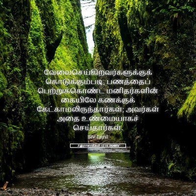 Picture 05 - 2 இராஜாக்கள் 12:15 TAMIRV -  - Bible Verse Picture