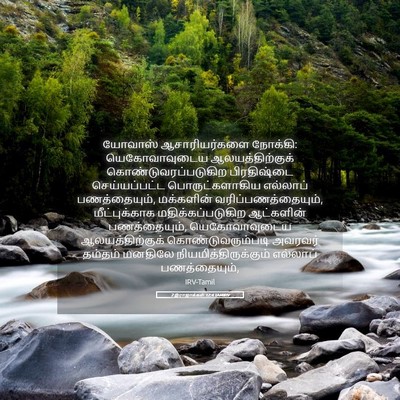 Picture 05 - 2 இராஜாக்கள் 12:4 TAMIRV - யோவாஸ் - Bible Verse Picture