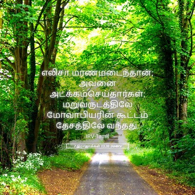 Picture 05 - 2 இராஜாக்கள் 13:20 TAMIRV - எலிசா - Bible Verse Picture