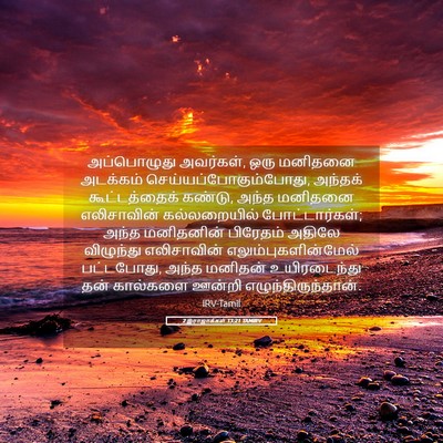 Picture 05 - 2 இராஜாக்கள் 13:21 TAMIRV - அப்பொழுது - Bible Verse Picture
