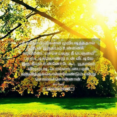 Picture 05 - 2 இராஜாக்கள் 14:10 TAMIRV - நீ ஏதோமியர்களை - Bible Verse Picture