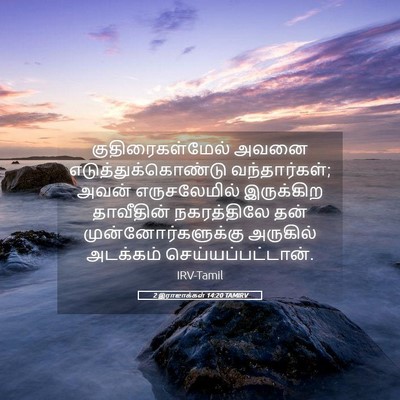 Picture 05 - 2 இராஜாக்கள் 14:20 TAMIRV - குதிரைகள்மேல் - Bible Verse Picture