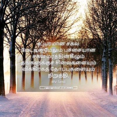 Picture 05 - 2 இராஜாக்கள் 17:10 TAMIRV - உயரமான சகல - Bible Verse Picture
