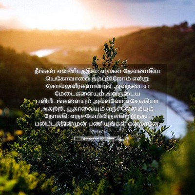 Picture 05 - 2 இராஜாக்கள் 18:22 TAMIRV - நீங்கள் - Bible Verse Picture