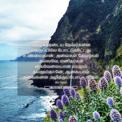 Picture 05 - 2 இராஜாக்கள் 19:18 TAMIRV - அவர்களுடைய - Bible Verse Picture