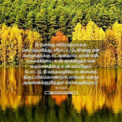 Picture 05 - 2 இராஜாக்கள் 19:28 TAMIRV - நீ எனக்கு - Bible Verse Picture