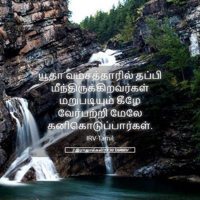 Picture 05 - 2 இராஜாக்கள் 19:30 TAMIRV - யூதா வம்சத்தாரில் - Bible Verse Picture