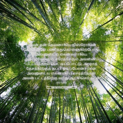 Picture 05 - 2 இராஜாக்கள் 19:37 TAMIRV - அவன் தன் தேவனாகிய - Bible Verse Picture