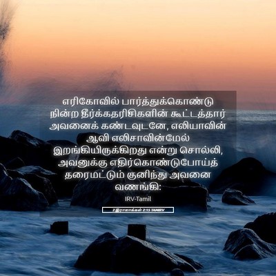 Picture 05 - 2 இராஜாக்கள் 2:15 TAMIRV - எரிகோவில் - Bible Verse Picture