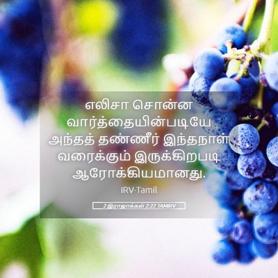 Picture 05 - 2 இராஜாக்கள் 2:22 TAMIRV - எலிசா சொன்ன - Bible Verse Picture