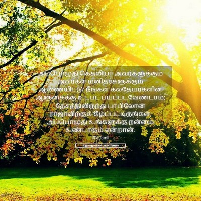 Picture 05 - 2 இராஜாக்கள் 25:24 TAMIRV - அப்பொழுது கெதலியா - Bible Verse Picture