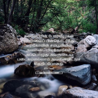 Picture 05 - 2 இராஜாக்கள் 25:5 TAMIRV - கல்தேயரின் - Bible Verse Picture
