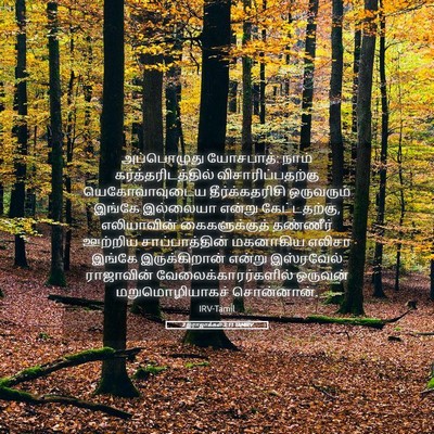 Picture 05 - 2 இராஜாக்கள் 3:11 TAMIRV - அப்பொழுது - Bible Verse Picture