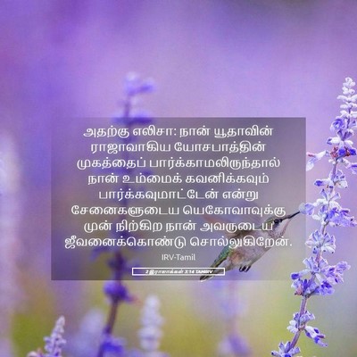 Picture 05 - 2 இராஜாக்கள் 3:14 TAMIRV - அதற்கு எலிசா: நான் - Bible Verse Picture