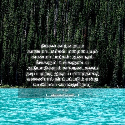 Picture 05 - 2 இராஜாக்கள் 3:17 TAMIRV - நீங்கள் - Bible Verse Picture