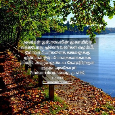 Picture 05 - 2 இராஜாக்கள் 3:24 TAMIRV - அவர்கள் - Bible Verse Picture