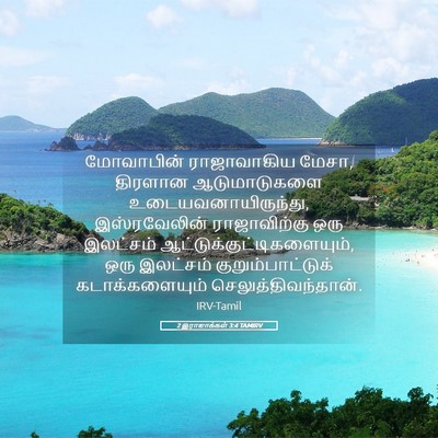 Picture 05 - 2 இராஜாக்கள் 3:4 TAMIRV - மோவாபின் - Bible Verse Picture