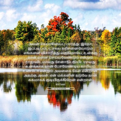 Picture 05 - 2 இராஜாக்கள் 4:13 TAMIRV - அவன் கேயாசியைப் - Bible Verse Picture