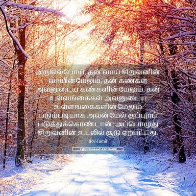 Picture 05 - 2 இராஜாக்கள் 4:34 TAMIRV - அருகில்போய், தன் - Bible Verse Picture
