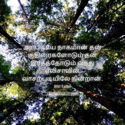 Picture 05 - 2 இராஜாக்கள் 5:9 TAMIRV - அப்படியே நாகமான் - Bible Verse Picture