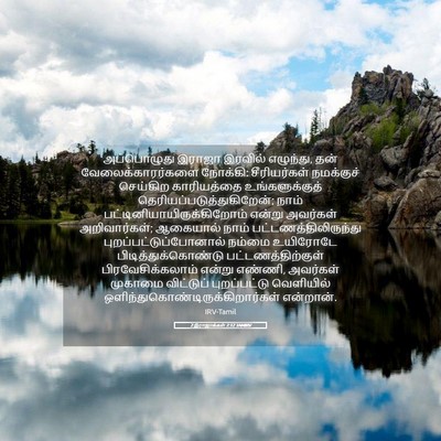 Picture 05 - 2 இராஜாக்கள் 7:12 TAMIRV - அப்பொழுது இராஜா - Bible Verse Picture