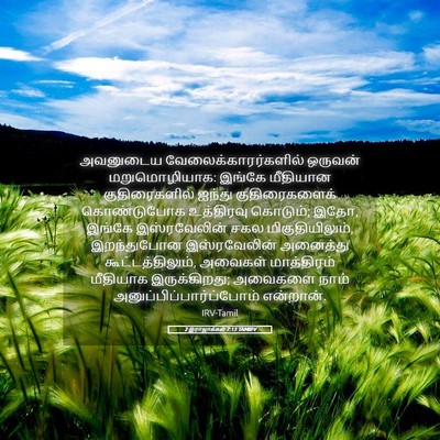 Picture 05 - 2 இராஜாக்கள் 7:13 TAMIRV - அவனுடைய - Bible Verse Picture